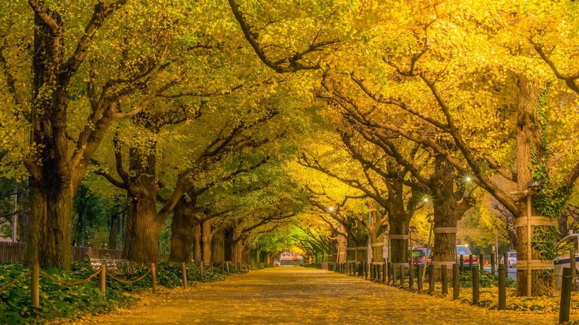 The Westin Tokyo Hotell Japan