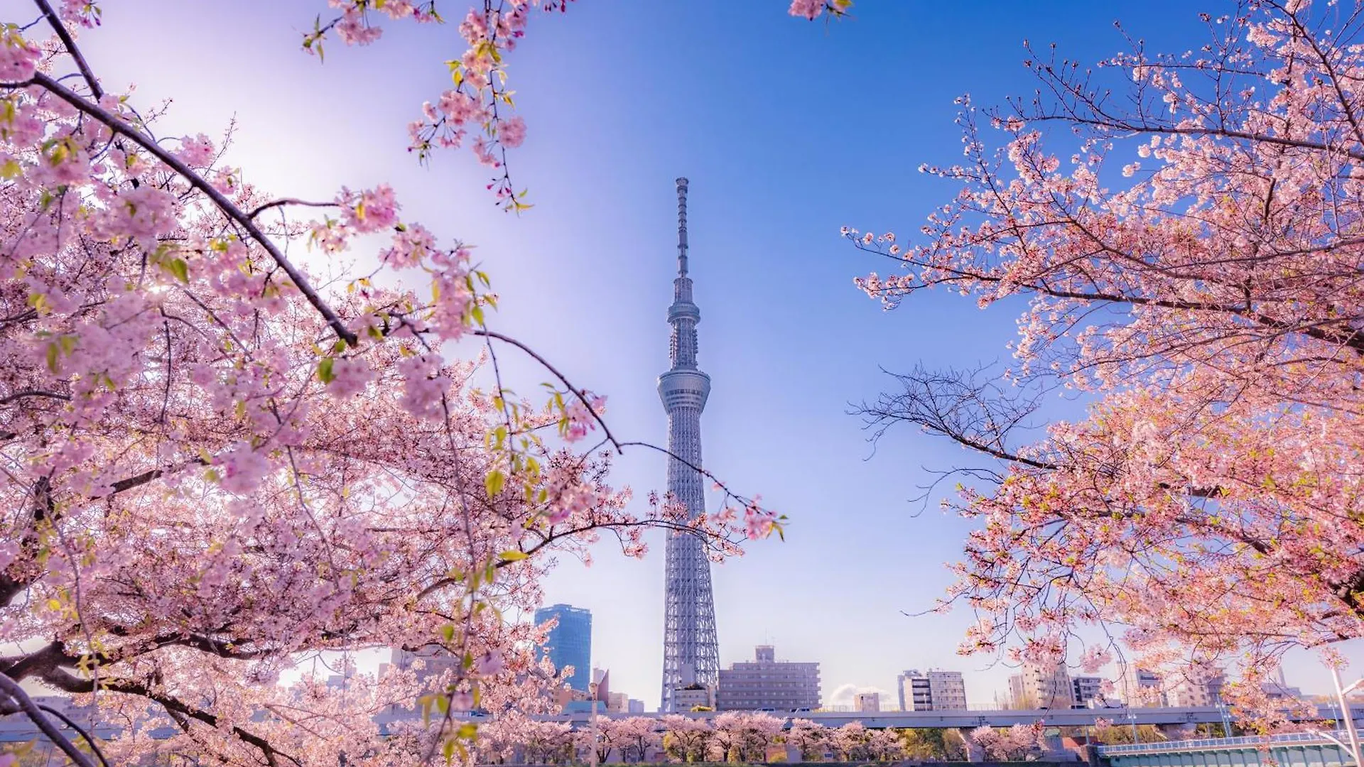 The Westin Tokyo Hotell
