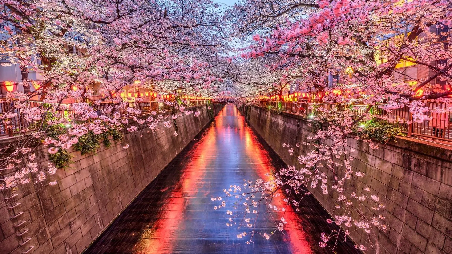 The Westin Tokyo Hotell